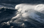 a2_Drake_22Jan09_41