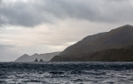 Macquarie Island