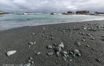 Macquarie Island