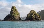 The Nuggets, Macquarie Island