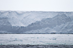 d6_ross-iceshelf_25jan15_196