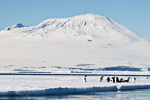 e5_mcmurdo-sound_29jan15_171