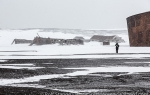 d7_Deception-Island_20Nov13_079