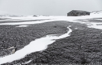 d7_Deception-Island_20Nov13_190