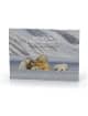 https://shop.spitzbergen.de/en/polar-books/70-norwegens-arktischer-norden-1-aerial-arctic-9783937903262.html