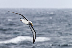 Southern Ocean off New Zealand