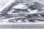 Scott's Discovery-hut at Hut Point near McMurdo Base.