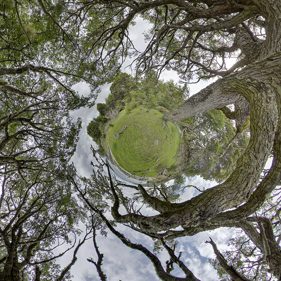 Nationalpark Tierra del Fuego, HDR-Panorama (little planet)